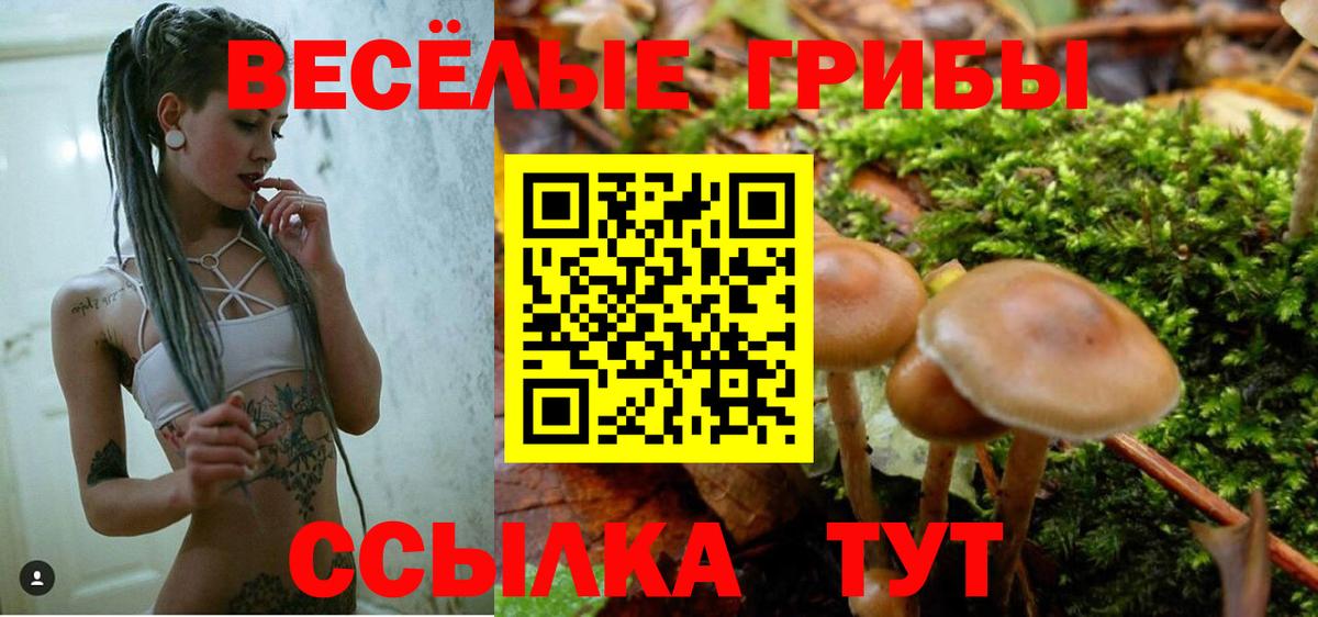 Каменск-Шахтинский  закладка  Вход с VPN  Галлюциногенные грибы мухоморы 